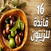 فوائد ورق الزيتون للرجيم