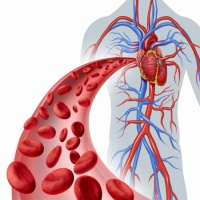 استخدم 5 مهارات منزلية رائعة لمحاربة انسداد وتصلب الشرايين