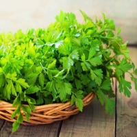 أعشاب ضاره للبول Diuretic herbs