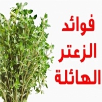 كل فوائد الزعتر فهو مضاد حيوي قوي