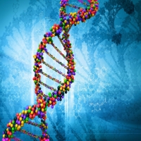 تعرف ما هو dna ومم يتكون وما التركيب الكيميائي له وأهميته