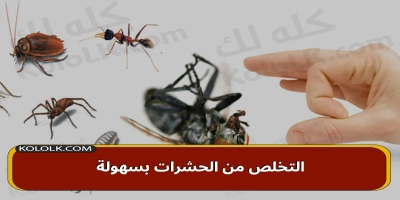 طرق ومكونات للتخلص من الحشرات بسهولة فى منزلك