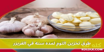 طرق تخزين الثوم لمده سنه في الفريزر