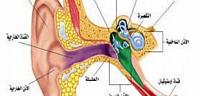 ما هى اسباب التهاب الأذن الوسطى