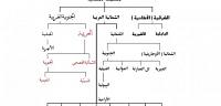 تعرف على ما هى اللغات السامية